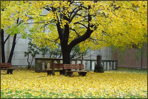 artistic; soare; peisage;