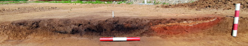 Fig. 3. Gherăești-„Stația de Comprimare a Gazelor”. Profilul Locuinței 1 (L. 1) și Vetrei 1 (V. 1) (foto: C. Preoteasa, 2020).
