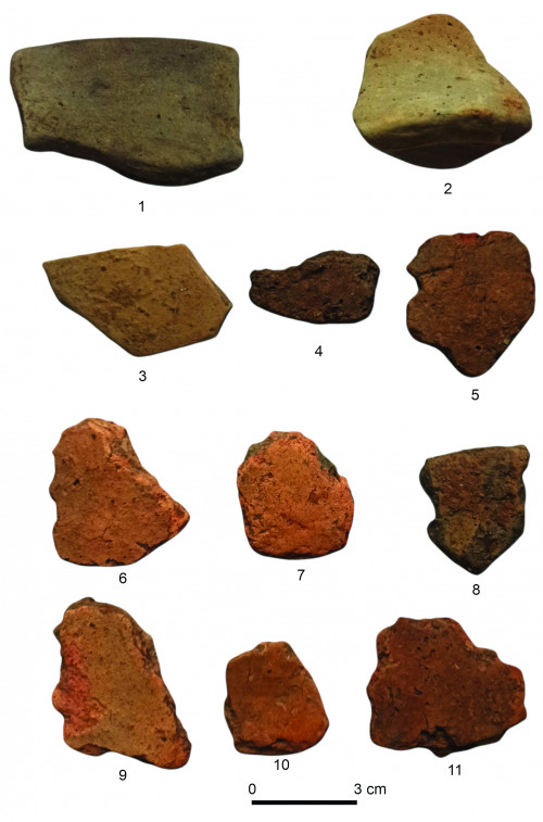 Fig. 3. Nemțișor – Pădurea Braniște: 1-11, ceramică. 