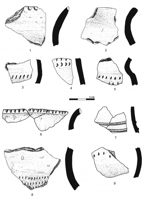 Fig. 3. Vânători-Neamț - Valea Rea: 1-9, ceramică.