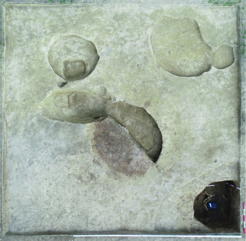 Fig. 2. Costești-Cier/Lângă Școală. Fotografie de ansamblu S IV/2021 (foto R. Bruchi) 