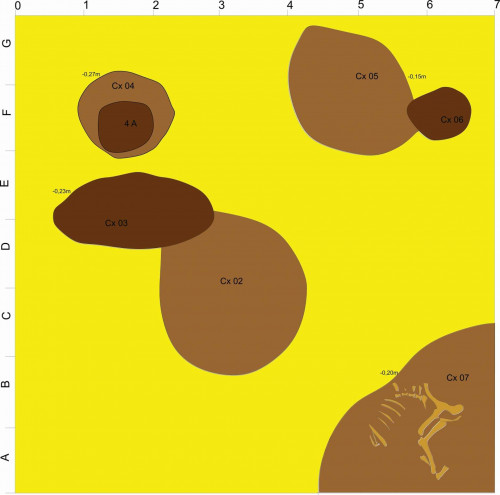 Fig. 3. Costești-Cier/Lângă Școală. Planul general al secțiunii IV/2021 (desen F.-A. Tencariu) 