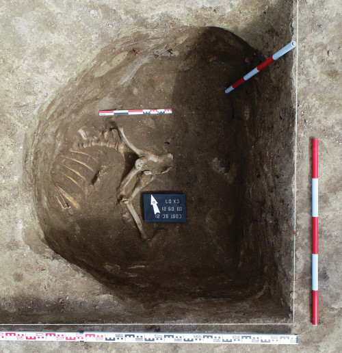 Fig. 9. Costești-Cier/Lângă Școală. Detaliu complexul Cx 07/Gr. 22 din S IV/2021 (foto V.-D. Cioată) 