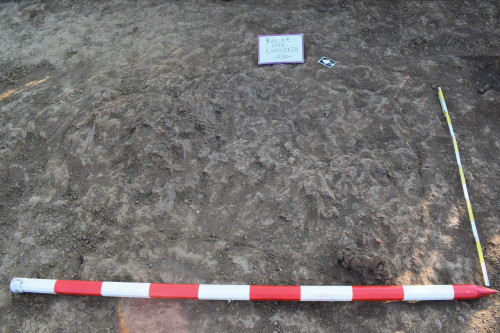 Fig. 15. Fulgeriș, La trei cireși – Foto groapa Gr. 59, în timpul cercetării (1)