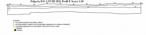 Fig. 20. Fulgeriș, La trei cireși – 1. Profilul de est al secțiunii S XVIII; 2. profilul de est al secțiunii S XIX (1)