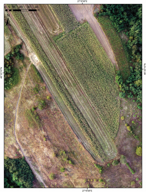 Fig. 4. Fulgeriș, La trei cireși – imagine ortorectificată (detaliu)
