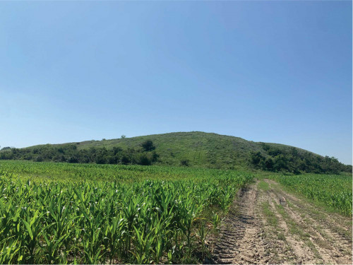 Fig. 1. Gumelnița 2021: Așezarea de tip tell. Vedere dinspre nord-vest.