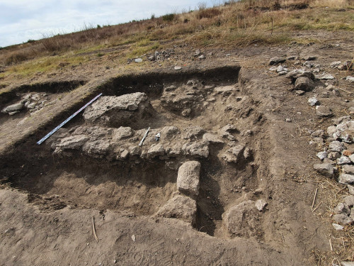 Fig. 2. Albești, jud. Constanța. Punct “Cetate”, sector D, caroul 43.