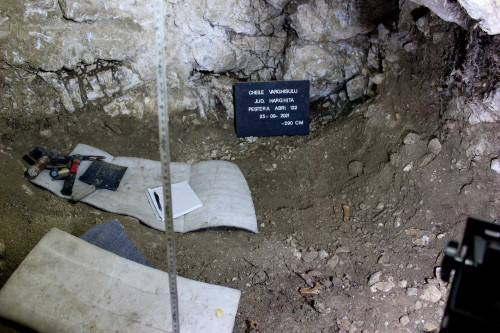 fig. 4. Imagine de ansamblu sapatura
