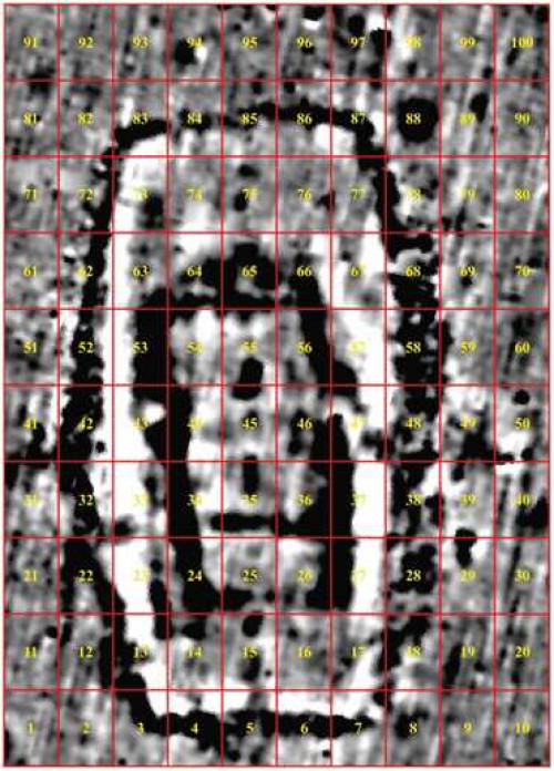 Fig. 1. Sântana-Cetatea Veche. „Structura 1 și 2” cu reprezentarea gridurilor de cercetare (dimensiunile unui grid: 7x5 m).