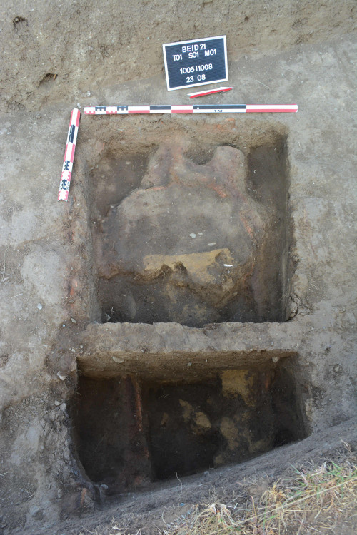 Fig. 3. SF 01