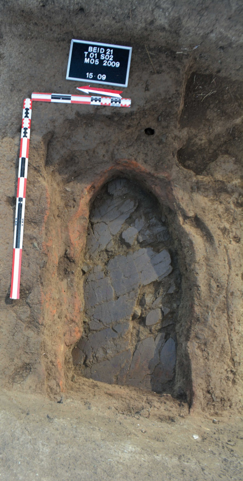 Fig. 6. SF05