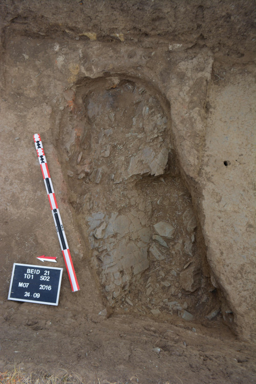 Fig. 7. SF07