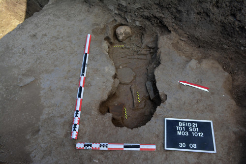 Fig. 8. SF03