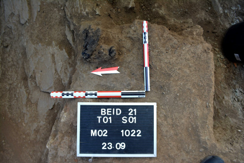 Fig. 9. SF02 (detaliu). Barna din rug