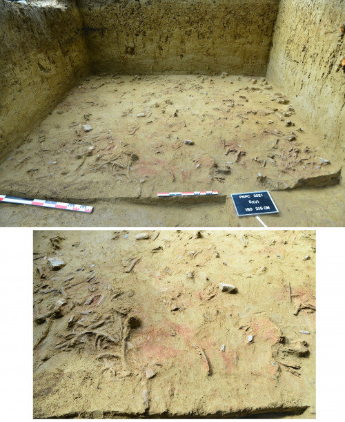 Fig. 1 - Poiana Cireșului-Piatra Neamț, campania 2021, imagini din timpul săpăturilor arheologice. Detalii cu densitatea materialelor în nivelul Gravetian I