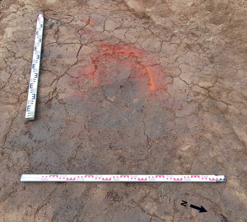 Fig. 2. Izvoare-„Râpa Roșie”. Vedere generală dinspre nord-est asupra Gropii 1 (G. 1) (foto: C. Preoteasa, 2021).