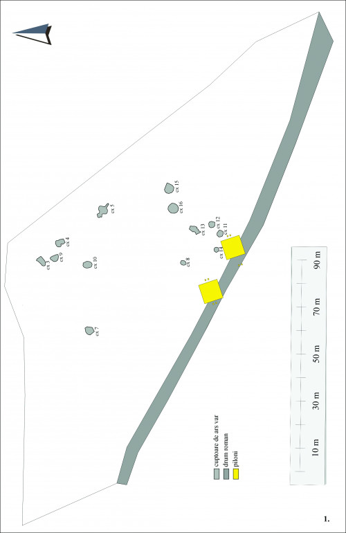 Fig. 3: Planul topografic al sitului.