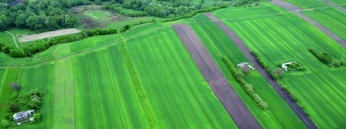Fig. 1. Săcălușești-„Dealul Buga”. Vedere generală dinspre nord asupra sitului arheologic (foto: B. Bobînă, 2021).