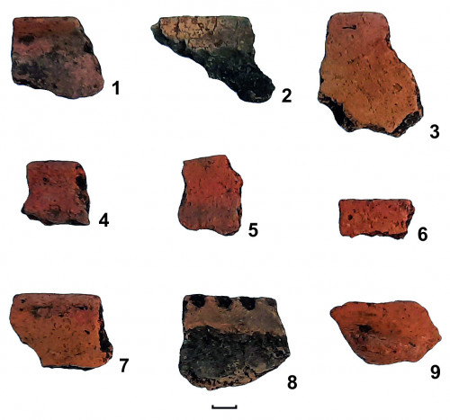 Fig. 5. Săcălușești-„Dealul Buga”: 1-9 – fragmente ceramice (foto: C. Preoteasa, 2021).