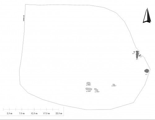 Fig. 2: planul topografic al sitului