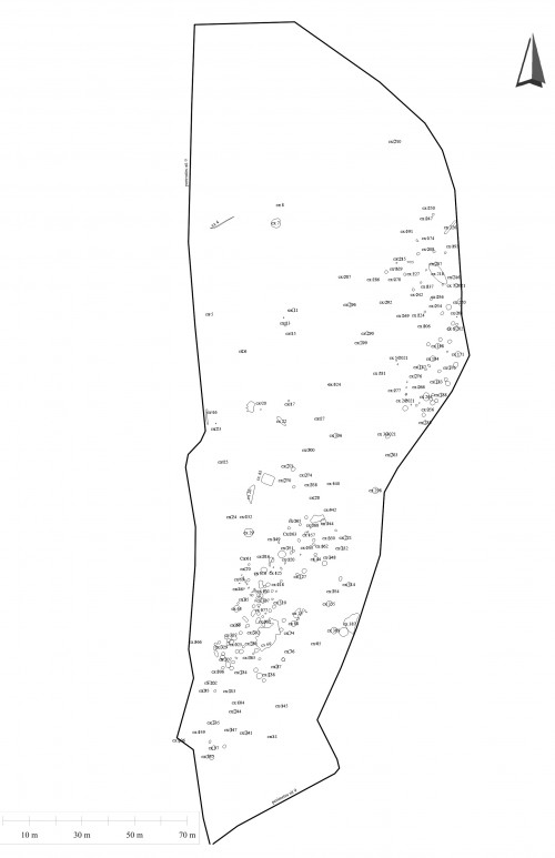 Fig. 3: planul topografic al sitului

