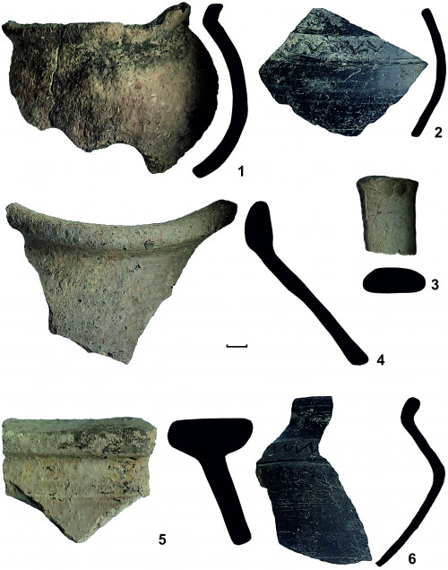 Fig. 4. Trifești-„Dealul Depozitului”: 1-6 – fragmente ceramice carpice (foto și desen: C. Preoteasa, 2021).