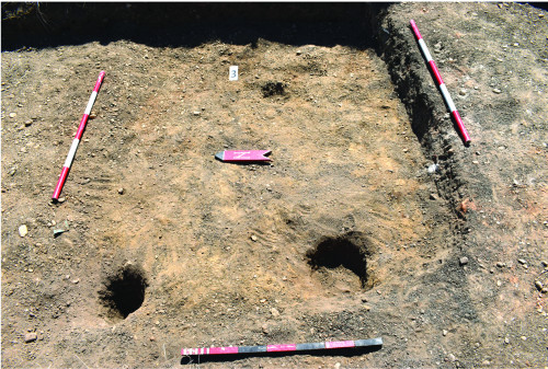 Fig. 3