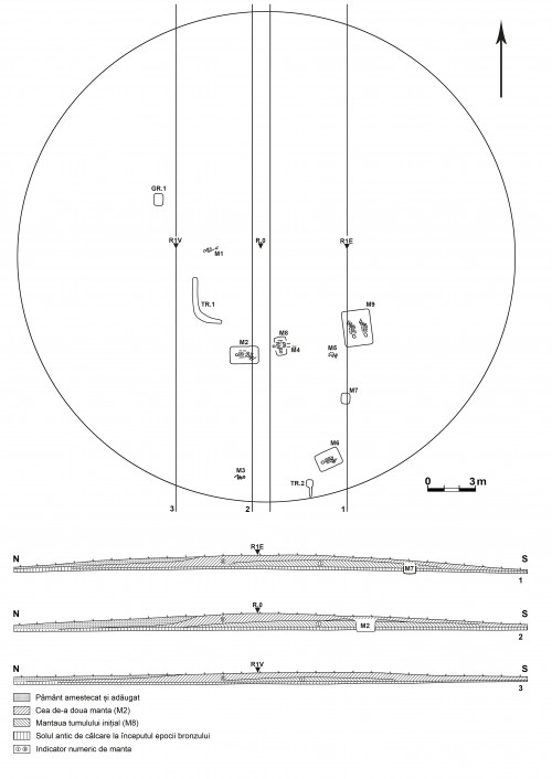 Fig. 4. Crucea-Lutărie/Est de sat. Planul general al complexelor din tumulul T1/2021 și profilele longitudinale N-S (desen S. Popovici).