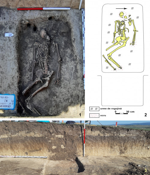Fig. 6. Crucea-Lutărie/Est de sat. Tumulul T1, mormântul M2/2021(2021 (foto / photo S.-C. Enea; desen S. Popovici).