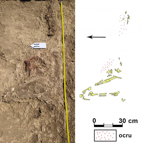 Fig. 7. Crucea-Lutărie/Est de sat. Tumulul T1, mormântul M3/2021 2021  (foto S.-C. Enea; desen S. Popovici).