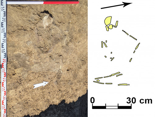 Fig. 9. Crucea-Lutărie/Est de sat. Tumulul T1, mormântul M5/2021 2021 (foto S.-C. Enea; desen S. Popovici).