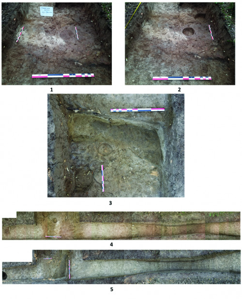 Fig. 7. Dobrovăț - Cetățuia. S 5 / 2021. 1-3. Palisada în diverse etape de excavare; 4-5. Colaj foto cu zona sistemului defensiv (palisada și șanț) în diverse etape de excavare.