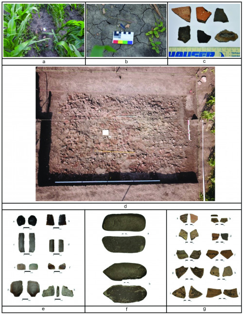 Fig. 2. Hoisești - La Curmătură 1. a. Aspect din timpul cercetării de suprafață; b. fragmente de artefacte eneolitice; c. fragmente de artefacte din epoca bronzului; d. CasA. imagine generală; e. artefacte și fragmente de artefacte din silex; f. artefacte din piatră; g. fragmente de olărie cu decor pictat și incizat (Foto: Neculai Bolohan, Ana Drob, Andrei Asăndulesei).