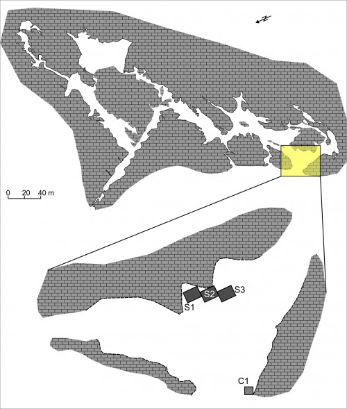Fig. 1. Plan Peștera Mare 2021