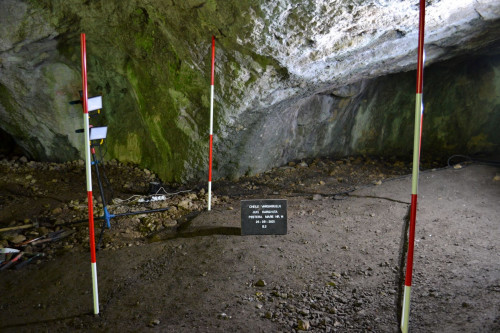 Fig. 2. Plasare secțiune S2