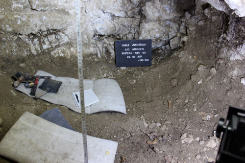 fig. 4. Imagine de ansamblu sapatura