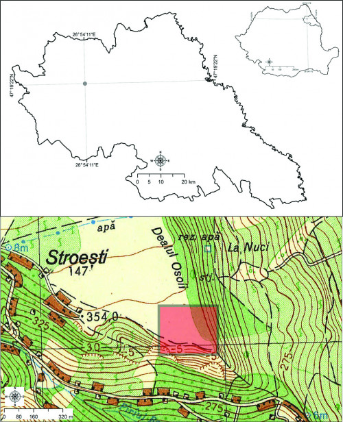 Fig. 1. Localizarea sitului în cadrul României, a județului Iași și pe harta topografică (DTM, scara 1:25000). 