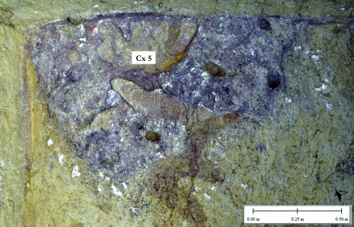 Fig. 3. Detaliu Cx 5 (AH 6) în T1/2022. 