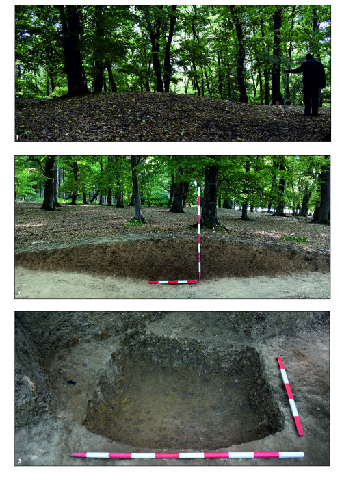 Fig. 2. Gârcina - Dealul Balaurul: 1-3, aspecte din timpul cercetării tumulului T.1.