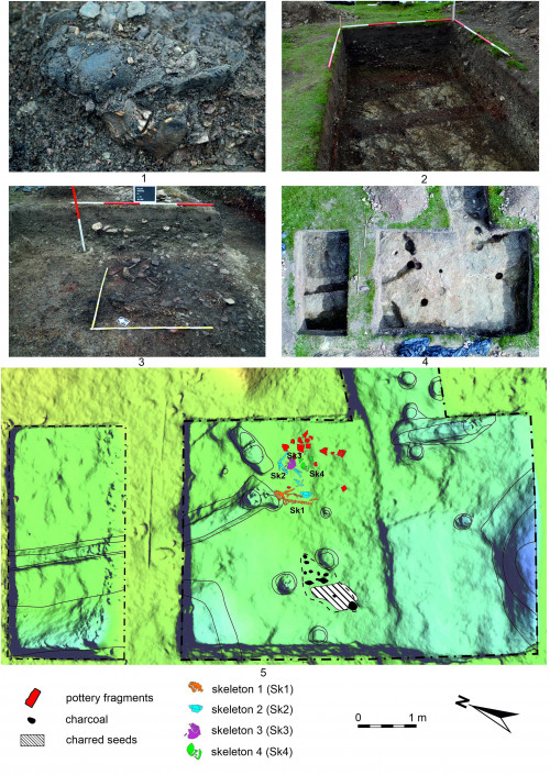 Planșa 2. Păuleni-Ciuc–Dâmbul Cetății. Secțiunea  III. 1 – detaliu craniu uman cu urme de arsură; 2 – urmele șanțului de fondare a valului/palisadei, vedere dinspre vest; 3 –depunerea cu schelete umane, vedere dinspre nord; 4 – detaliu S III cu șanțul de fondare a valului/palisadei și a porții; 5 – modelul digital al terenului suprapus de complexul cu schelete umane și arsură. Legendă: portocaliu - oase umane, schelet în poziție anatomică (M1); albastru – oase umane, schelet în poziție anatomică păstrată parțial (M2); mov – oase umane, schelet răvășit, păstrată parțial (M3); verde – oase umane, schelet răvășit, păstrată parțial (M4); roșu – fragmente ceramice; negru – arsură/lemn ars și cereale?; linie neagră contur – gropi.