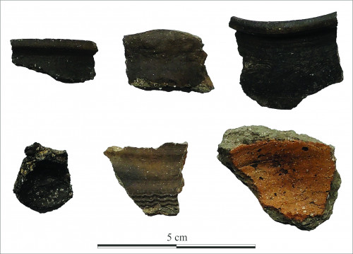 Fig. 14. Fragmente ceramice din secolele 11-13 d.Chr. descoperite în secțiunea S127, cx. 1, situl VLD12.